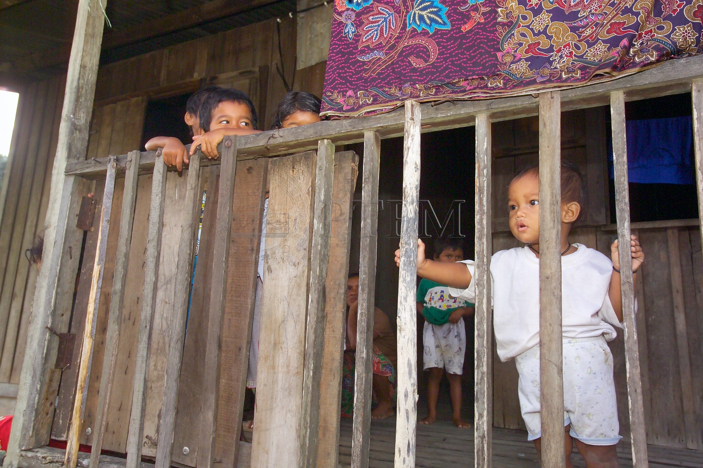 PTPM 06 31 kilau D9X44151